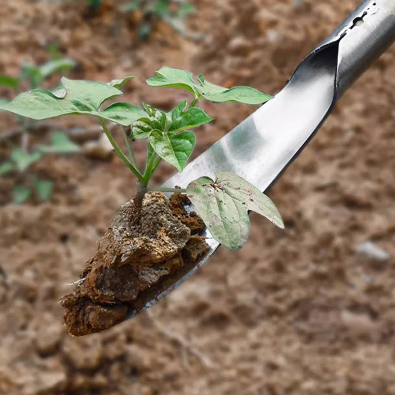 Grove Gardening Tools Set | Stainless Steel Weeding Shovel, Trowel, Rake