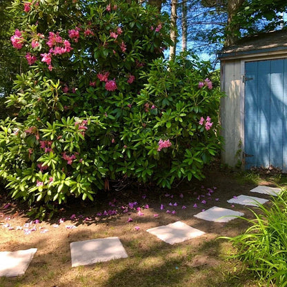 Natura Garden Stones | Durable Resin Decorative Stepping Stones for Pathways