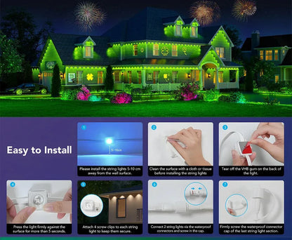 Outdoor Holiday LED Lights