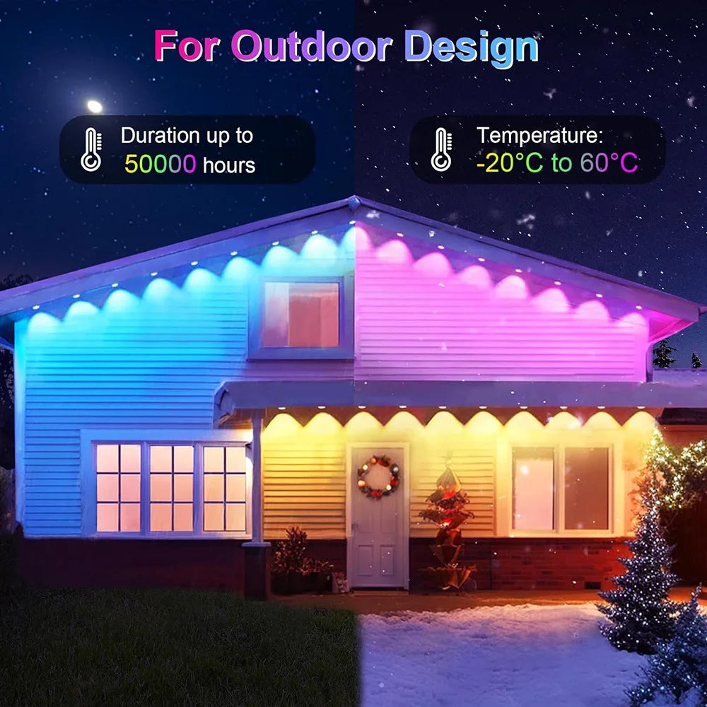 Outdoor Holiday LED Lights
