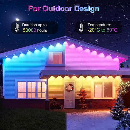 Outdoor Holiday LED Lights