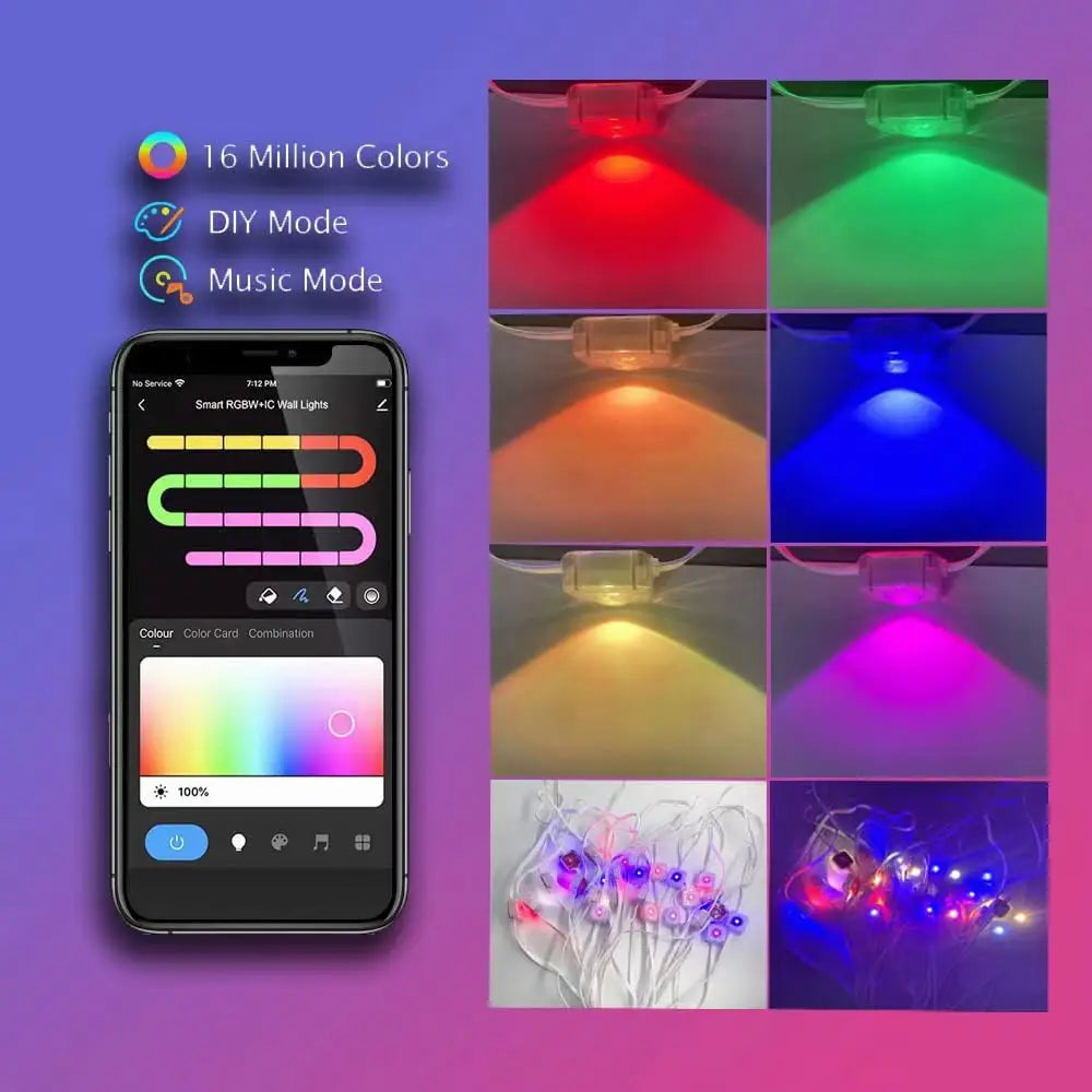 Outdoor Holiday LED Lights