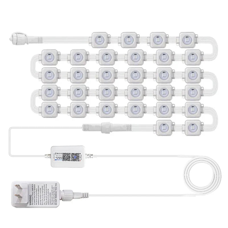 Outdoor Holiday LED Lights