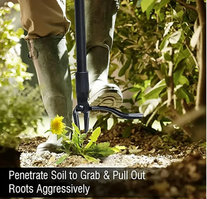Wanda Garden Tool | Ergonomic Weed Removal